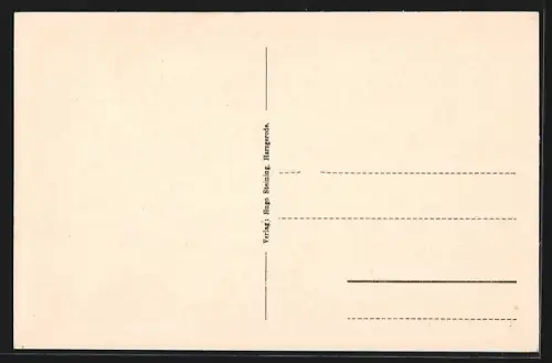 AK Harzgerode, Unterstrasse mit Geschäften