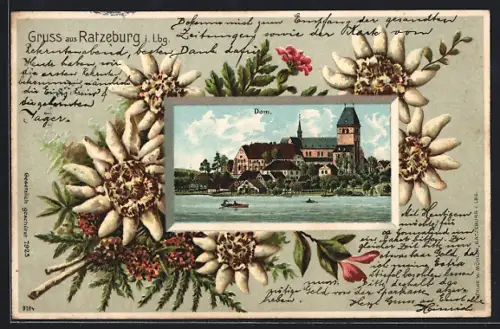 Passepartout-Lithographie Ratzeburg i. Lbg., Partie am Dom, Edelweiss