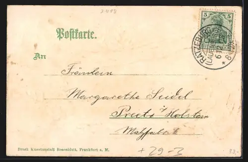 Passepartout-Lithographie Ratzeburg, Panorama