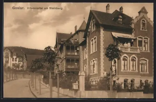 AK Goslar, Villenviertel am Steinberg