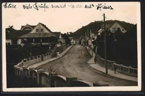 Foto-AK Blumenau, Panorama