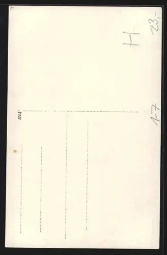 AK Prinz u. Prinzessin Friedrich von Schaumburg-Lippe