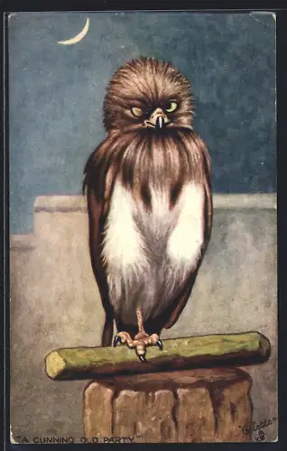 Künstler-AK A cunning old party, Eule