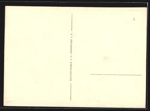 AK Original Mauser, Gewehr unterm Weihnachtsbaum