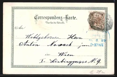 Lithographie Franzensbad, Kulmerstrasse, Parkstrasse, Morgenzeile, Ferdinand- u. Karlstrasse