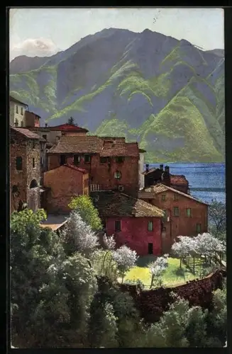 AK Photochromie NR. 3335: Nesso, Ortsansicht