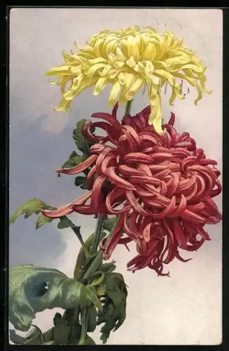 Künstler-AK Photochromie Nr. 1021: rot und gelb blühende Blumen