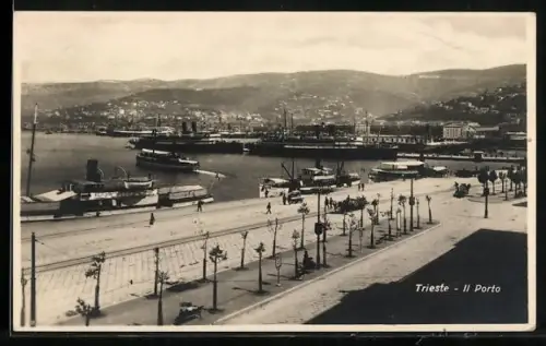 AK Trieste, Il Porto