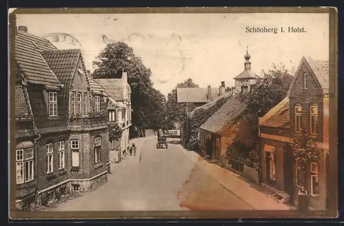 AK Schönberg i. Holst., Strassenpartie mit Wohngebäuden