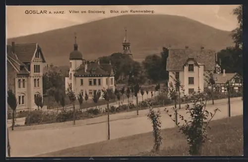 AK Goslar a. Harz, Villen am Steinberg, Blick zum Rammelsberg