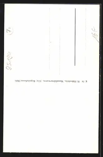 AK Regnitzlosau /Obfr., Strassenpartie mit Wohnhäusern, Ortsansicht von der Feldflur aus