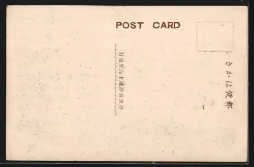 AK Miyadzu St., The Full View