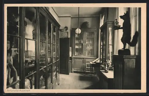 AK Essen, Kath. Lyzeum und Oberlyzeum, Naturaliensammlung