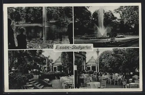AK Essen, Stadtgarten, Springbrunnen, Restaurant