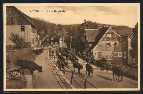 AK Altenau i. Harz, Bergstrasse