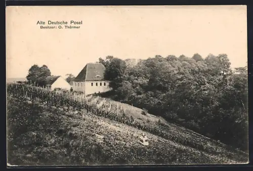 AK Meissen /Elbe, Gasthof Alte Deutsche Posel O. Thürmer