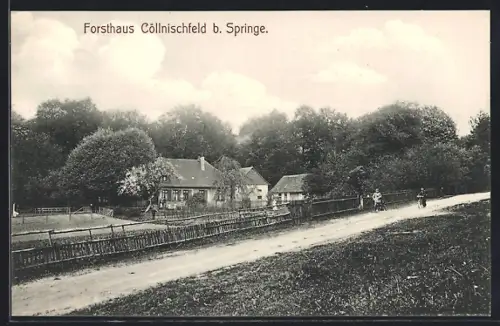 AK Springe, Gasthof Cöllnischfeld, Totalansicht