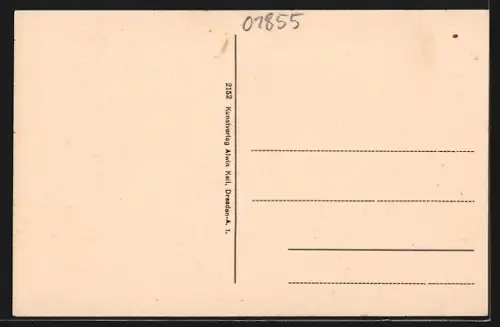 AK Sebnitz, Teilansicht mit Strassenpartie