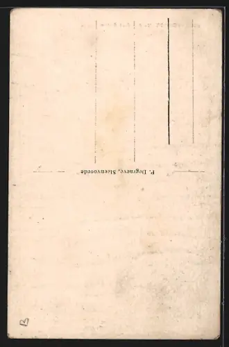 AK Steenvoorde /Nord, Rue Carnot, Strassenpartie