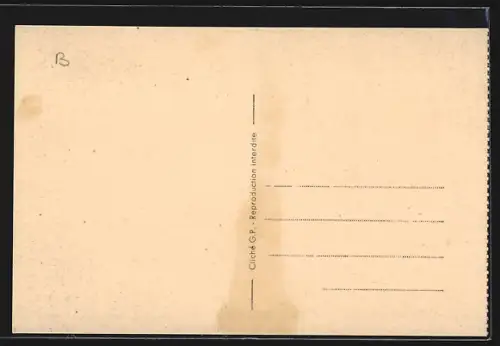 AK Winnezeele /Nord, Vue générale