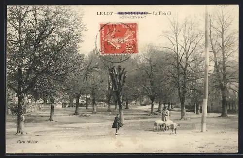 AK Soucirac, Le Foirail, Scène pastorale avec un berger et ses moutons