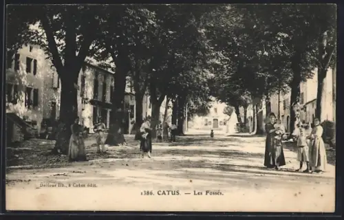 AK Catus, Les Fossés