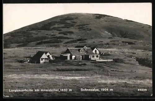 AK Lurgbauerhütte, Ansicht gegen Schneealpe