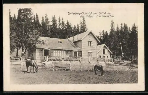 AK Unterberg-Schutzhaus, Pferde auf der Koppel vor dem Haus
