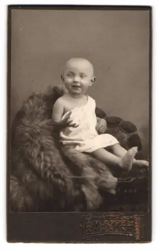 Fotografie M. Appel, Berlin, Neue Königstr. 1, Kleinkind auf einem Pelz