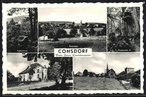 AK Consdorf, Kohlscheuer, Promenade M., Ortsansicht