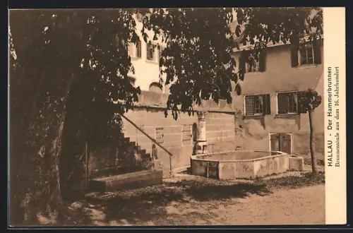 AK Hallau, Hammerbrunnen, Brunnensäule au dem 16. Jh.
