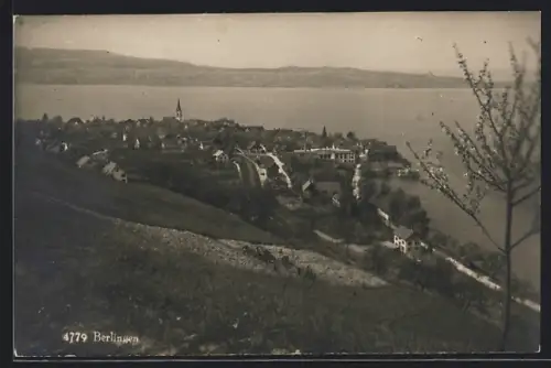AK Berlingen, Ortsansicht mit Gewässer von einem Hang aus