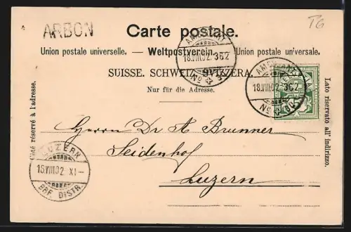 AK Arbon, Ortspanorama mit Kirche vom Wasser aus, Ruderboot