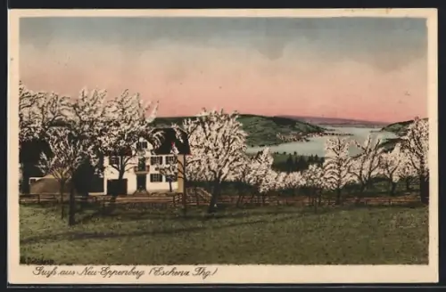 AK Neu-Eppenberg /Eschenz, Gasthaus Neu-Eppenberg J. Haber-Bosch mit Wasserblick im Frühling