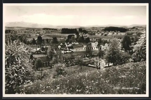 AK Hauptwil /Thg., Totalansicht von einer Wiese aus