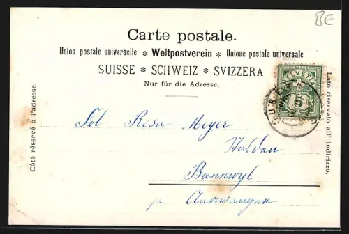 AK Bern, Markt am Bärenplatz aus der Vogelschau