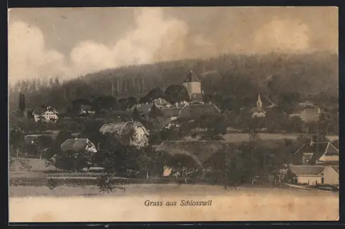 AK Schlosswil, Totalansicht aus der Vogelschau