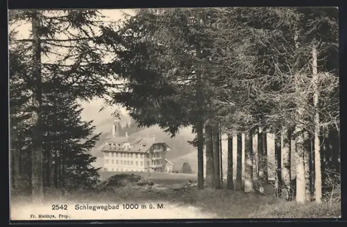 AK Schlegwegbad, Ortsansicht vom Wald aus