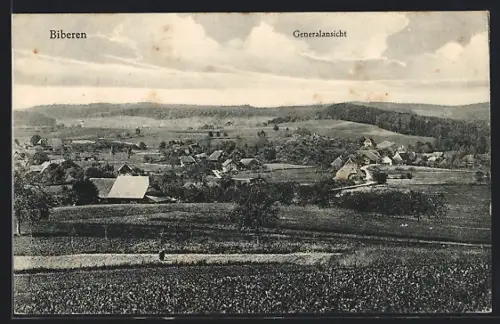 AK Biberen, Gesamtansicht mit Umgebung