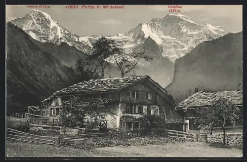 AK Wilderswil, Ortspartie mit Häusern, Mönch und Jungfrau