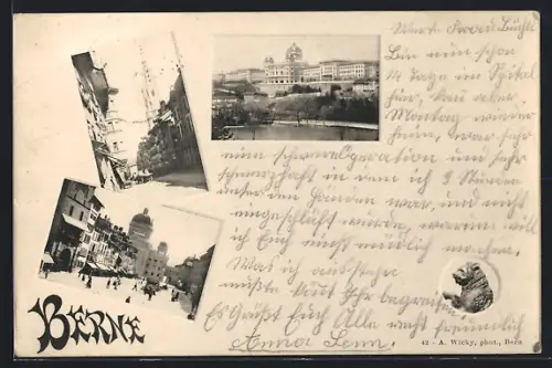 AK Bern, Teilansicht vom Wasser, Strassenpartien, Bärenstatue