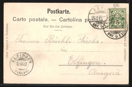 AK Bern, Teilansicht vom Wasser, Strassenpartien, Bärenstatue