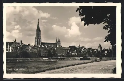 AK Ulm a. d. Donau, Münster, Stadtansicht