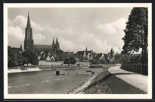 AK Ulm a. D., Stadtansicht mit Münster