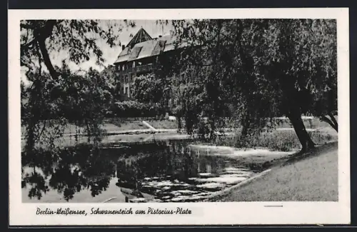 AK Berlin-Weissensee, Schwanenteich am Pistorius-Platz