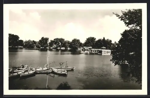 AK Berlin-Weissensee, Am Weissen See, Ruderboote, Uferansicht