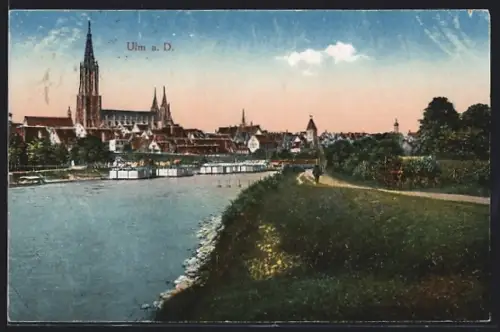 AK Ulm a. D., Münster, Stadtansicht, Uferpartie