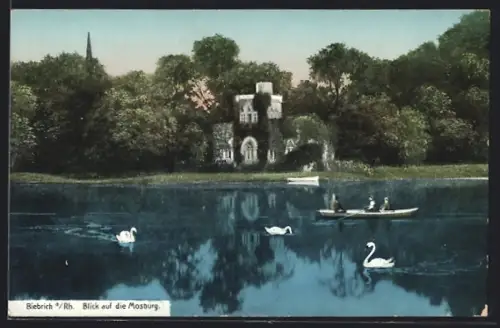 AK Biebrich a. Rh., Blick auf die Mosburg