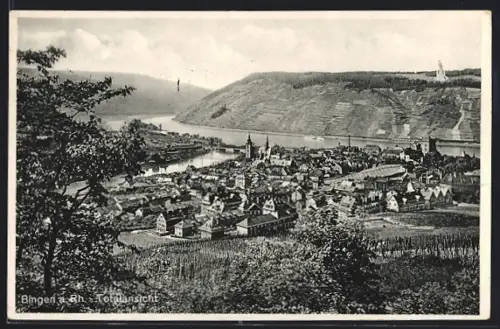 AK Bingen a. Rh., Totalansicht