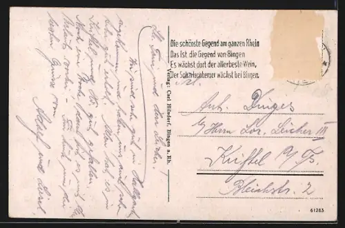 AK Bingen a. Rh., Totalansicht